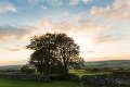 cox tor sunset2